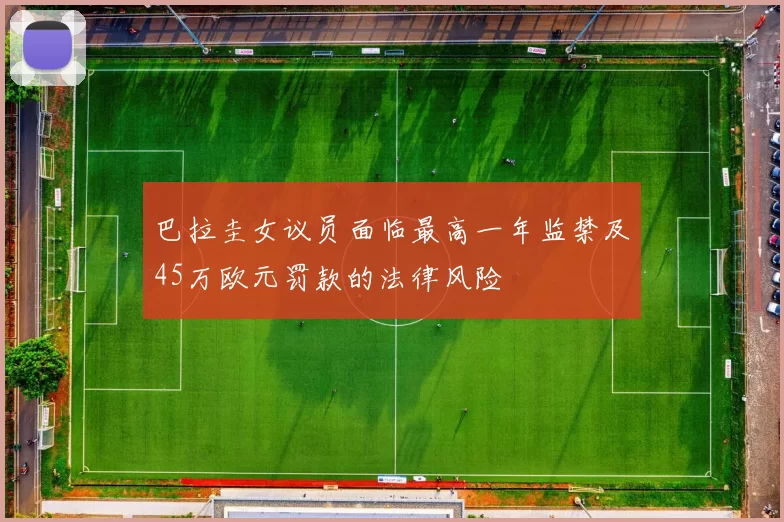 巴拉圭女议员面临最高一年监禁及45万欧元罚款的法律风险