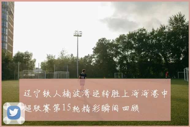 辽宁铁人楠波湾逆转胜上海海港中超联赛第15轮精彩瞬间回顾